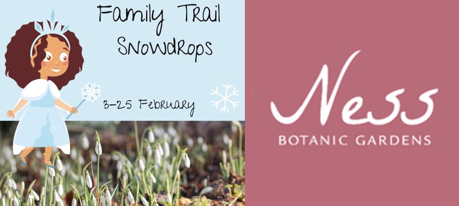 Family Trail Snowdrops – Ness Botanic Gardens