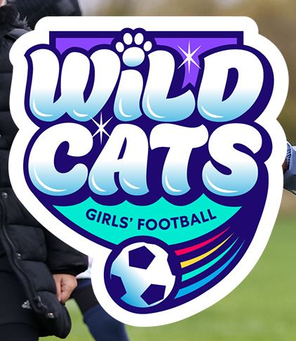 Wildcats at the Carrbridge Centre