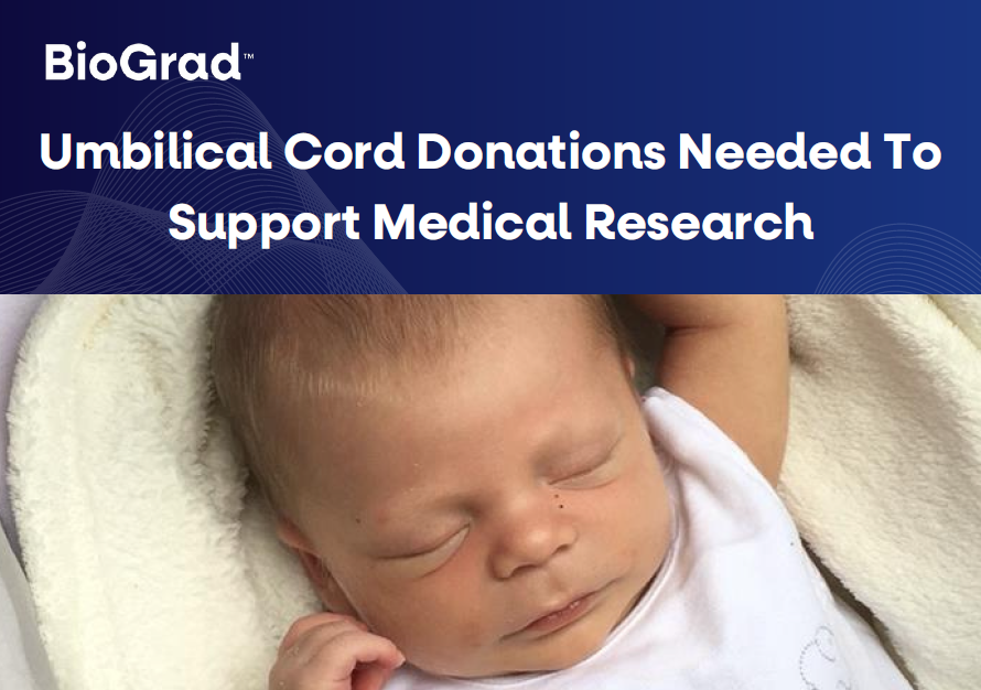 Umbilical Cord Donations – BioGrad