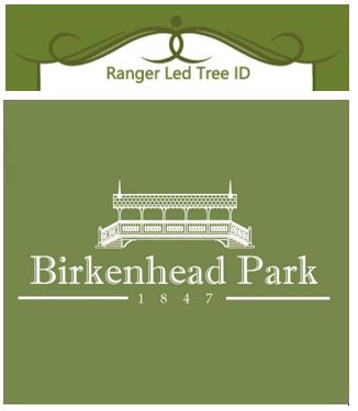 Ranger Led Tree ID at Birkenhead Park