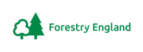 Walking Trails at Delamere Forest – Forestry England