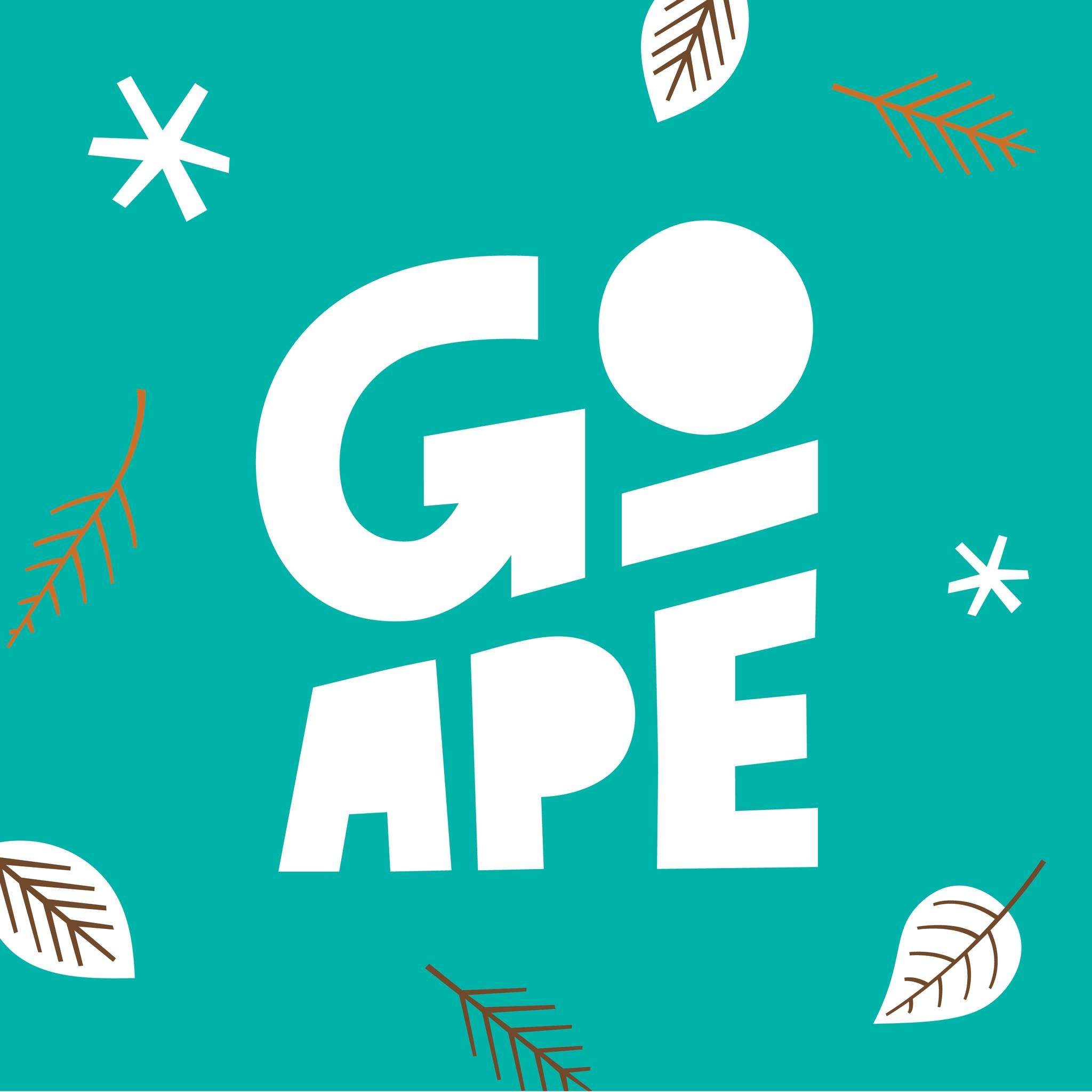 Go Ape at Delamere – Go Ape