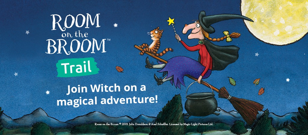 Room on the Broom Trail at Delamere Forest – Forestry England