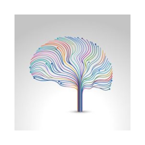 Reach Autism Services Ltd