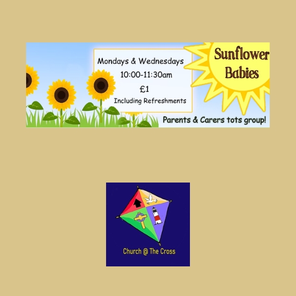 Sunflower Babies – Church @ The Cross