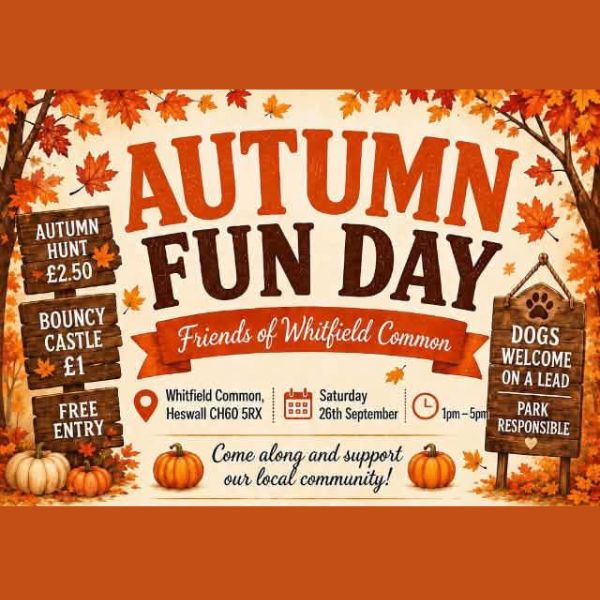 Whitfield Common Autumn Fun Day – Friends of Whitfield Common