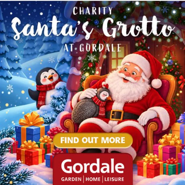 Santa’s Grotto – Gordale Garden Centre